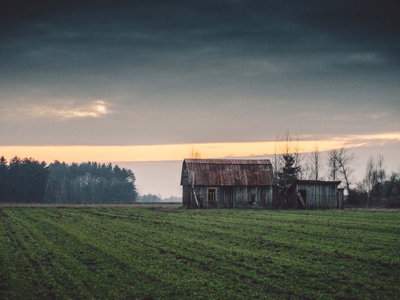 Farmland